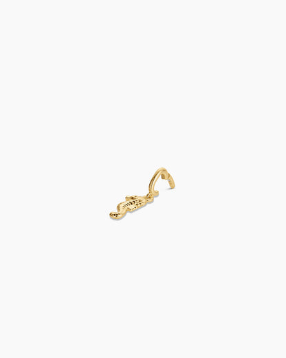 Seahorse Parker Charm