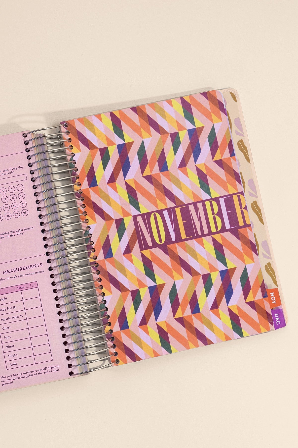 2026 Fit Planner + Stickers - Multicolor Floral
